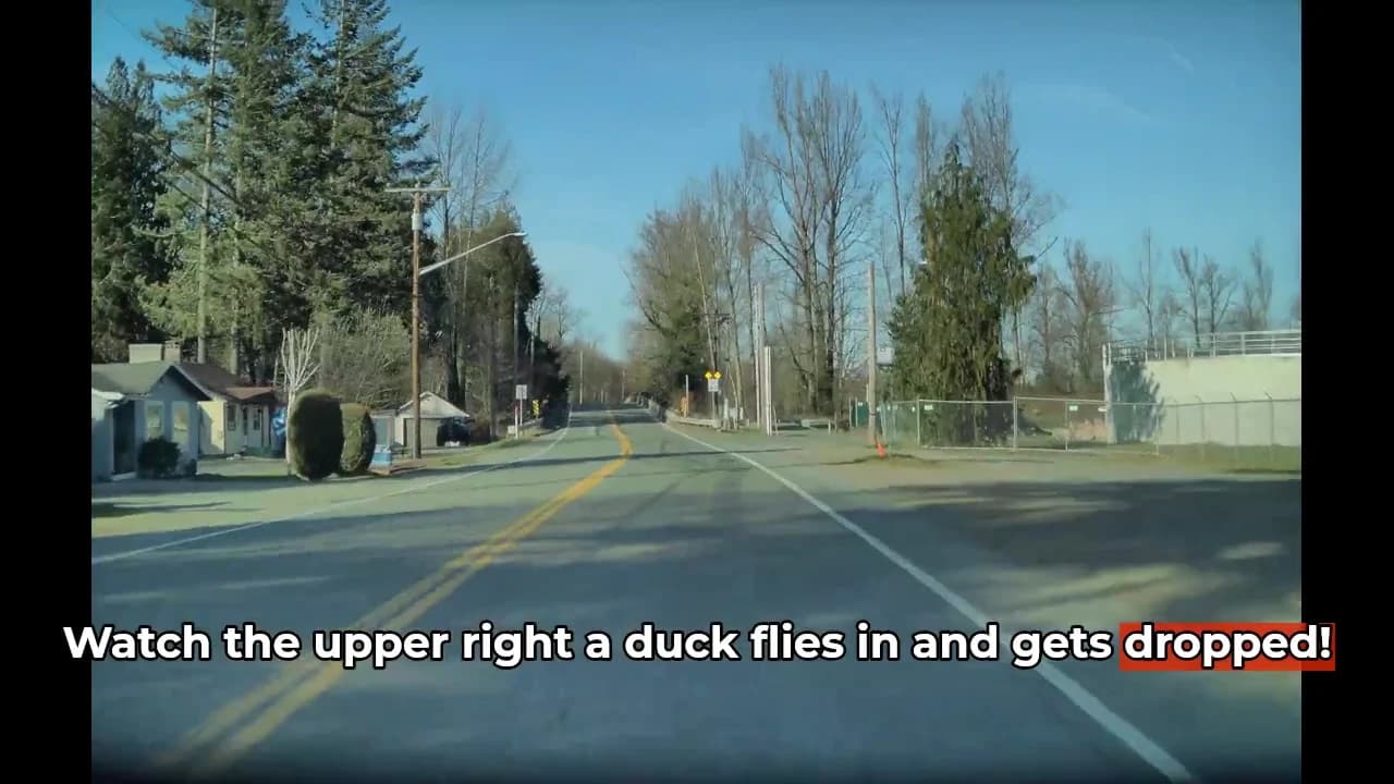 Finished landscape clip of a road, with manually added text and a highlighted word